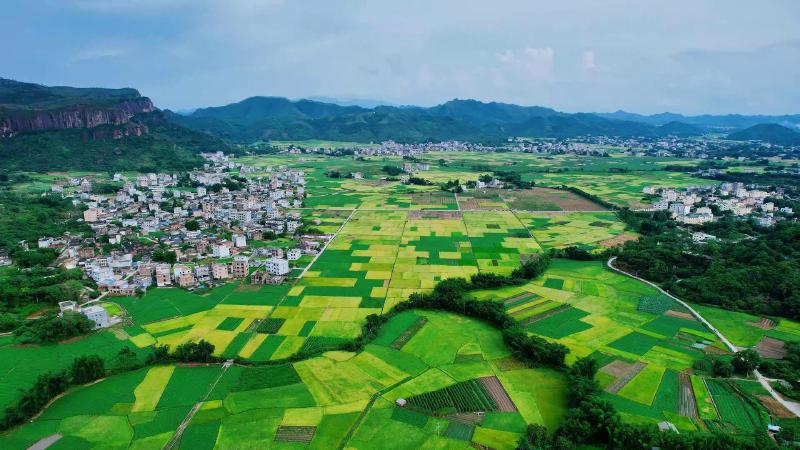 Featured image of post 【Academic Research】Fertile soil and abundant water, the revitalization through "copper" — Exploring the integration of the primary, secondary, and tertiary industries in Feng Village to boost rural revitalization.